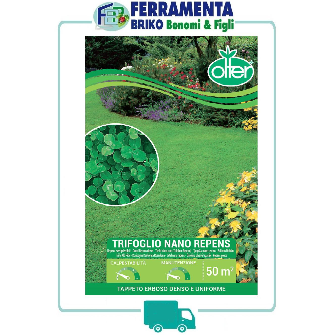 Prato Verde A Bassa Manutenzione Semi Di Microtrifoglio (Trifoglio Nano) Euromic - 250g Per Circa 125 Mq, Per Prati Ecologici E Resistenti Trifoglio Prato Ecologico - Foto 8