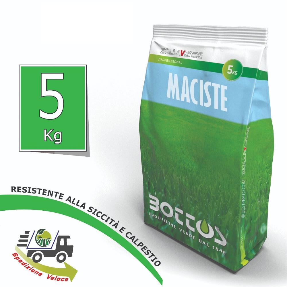 PRATO MACISTE Semi professionali prato tappeto erboso da 5 KG