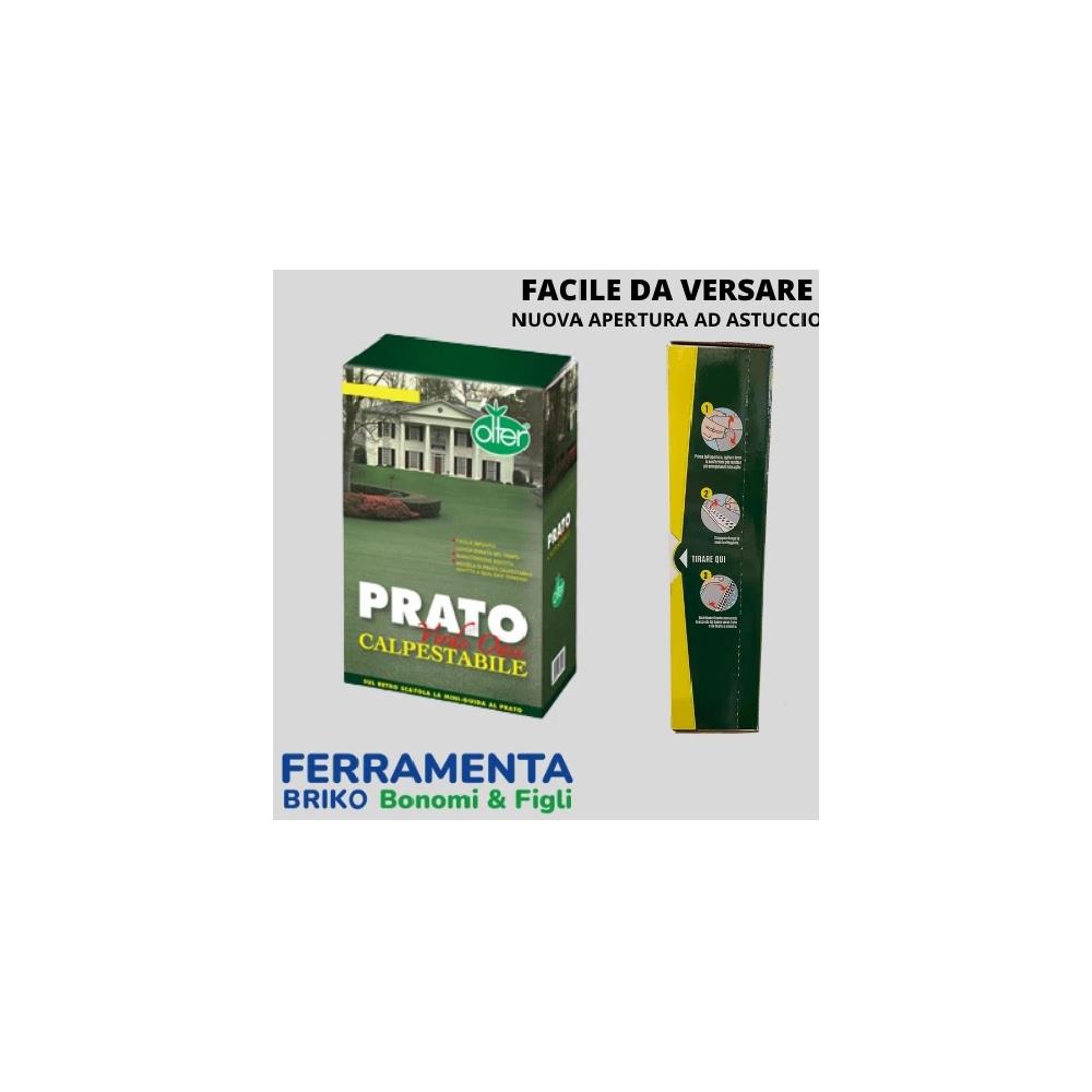 Semi sementi prato rapido miscuglio soleggiato 1Kg resistente al sole OLTER 50MQ
